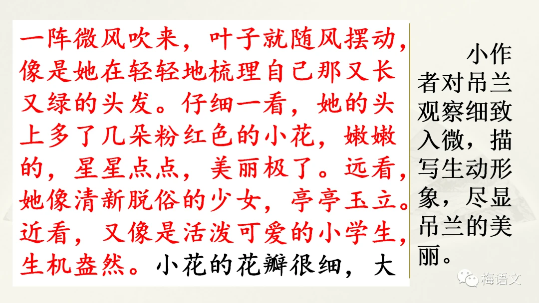 篮球训练一周训练计划表_0